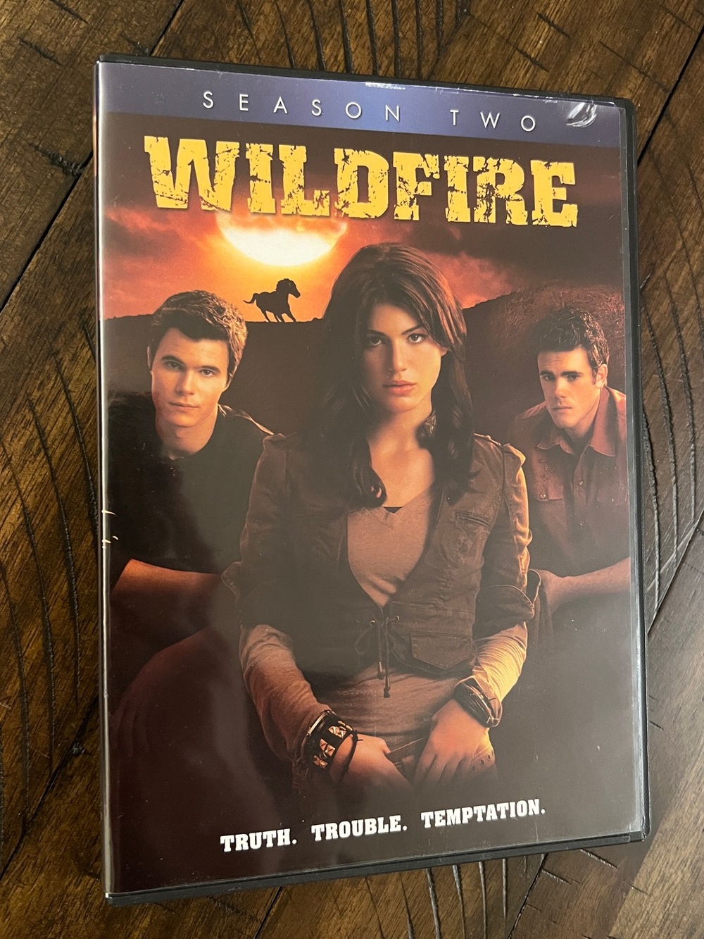 Wildfire Season 2 DVDs